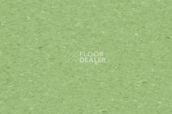 Линолеум Tarkett iQ Granit FRESH GRASS 0406 фото 1 | FLOORDEALER